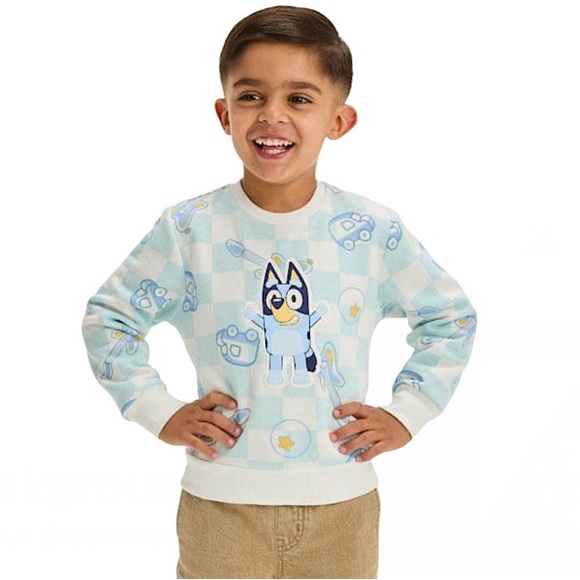Bluey Other - Toddler Boys’ Bluey Pullover Sweatshirt